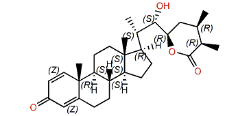 Paraminabeolide D